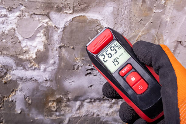 Professional Mold Remediation in Milaca, MN