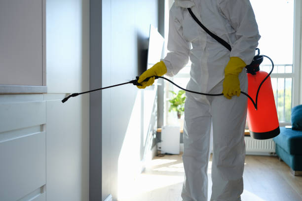 Best Commercial Mold Remediation in Milaca, MN