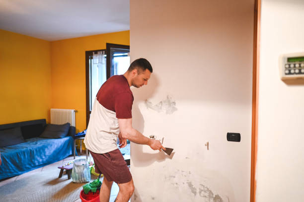 Best Mold Remediation for Specific Building Types in Milaca, MN